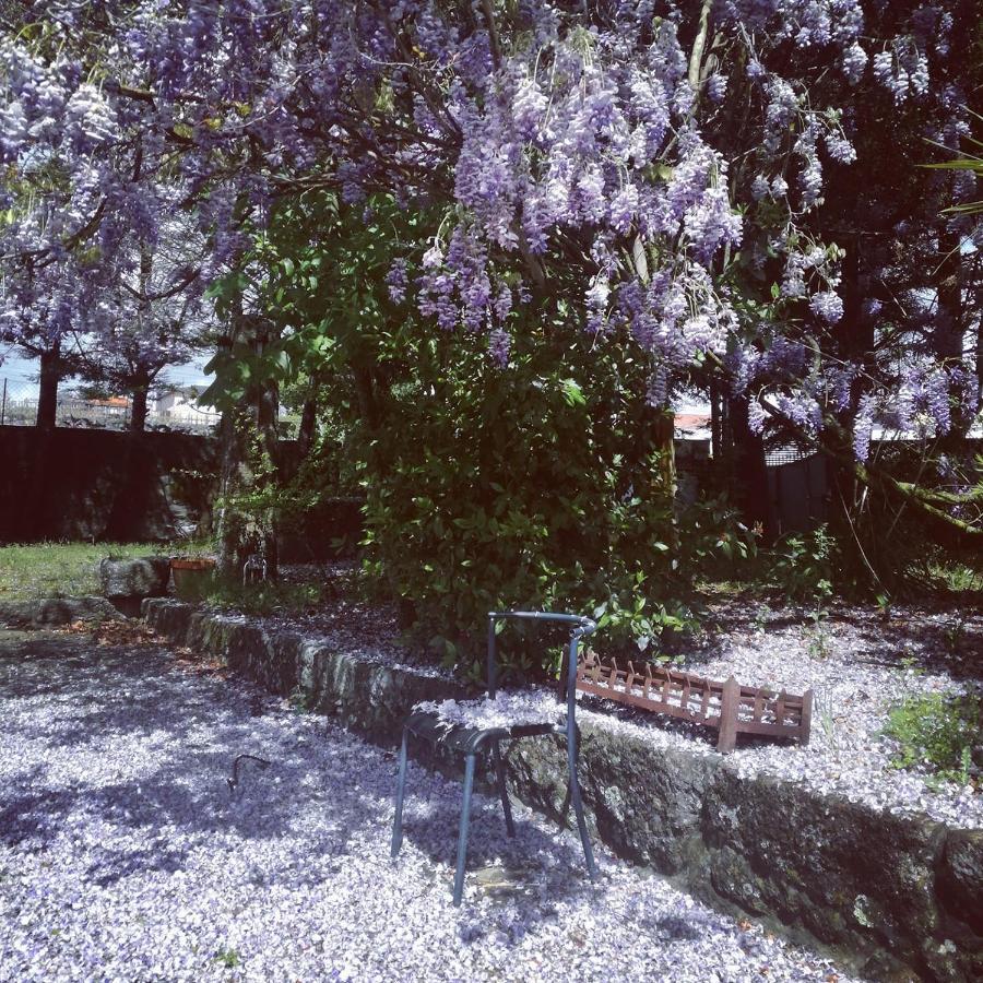 Vila Casa Da Costeira Figueiro Exteriér fotografie